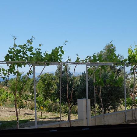 Apartament Garden House Kremastí Zewnętrze zdjęcie